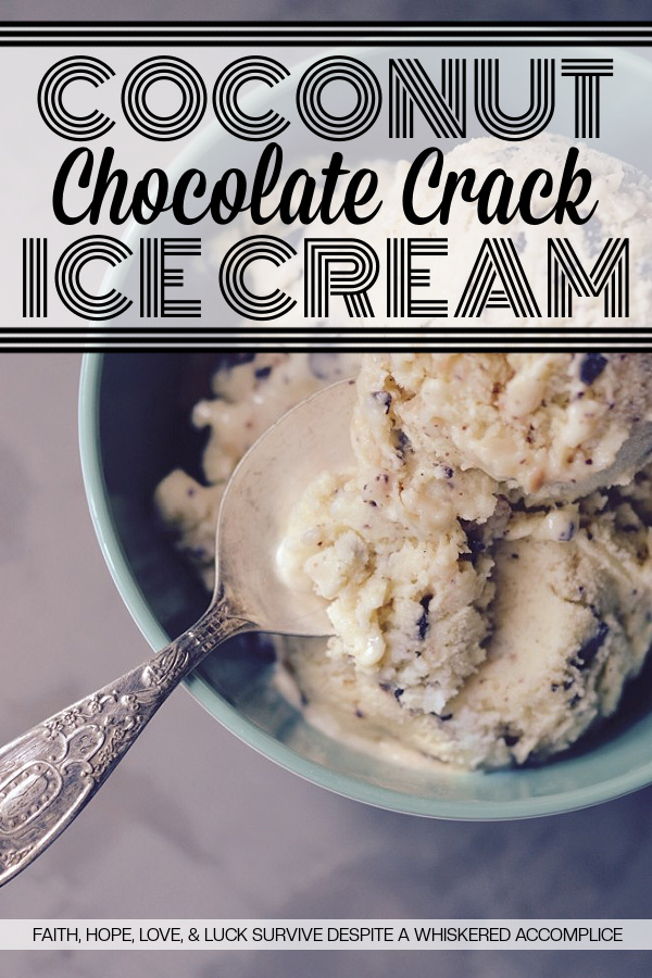 Coconut Chocolate Crack Ice Cream - Buttery toasted sweetened coconut and seriously dark chocolate chunks take this vanilla ice cream to the next level. The combination of flavors is amazing, making it the perfect frozen treat to cool down on a hot summer day. You won't be able to resist this addictive ice cream.