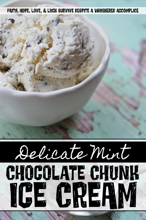 Delicate Mint Chocolate Chunk Ice Cream - This ice cream is the perfect combination of mint and chocolate. The delicate mint flavor combined with the chocolate makes for an incredibly delicious treat. And, it's a great way to use up any extra garden mint you have on hand to create a refreshing frozen dessert everyone will love.