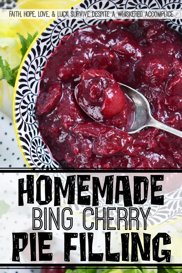 Homemade Bing Cherry Pie Filling - Not only is homemade cherry pie filling better than any canned variety you will find available at your local market, but it is also as easy as pie to make. You'll just need some fresh cherries and a few simple ingredients.