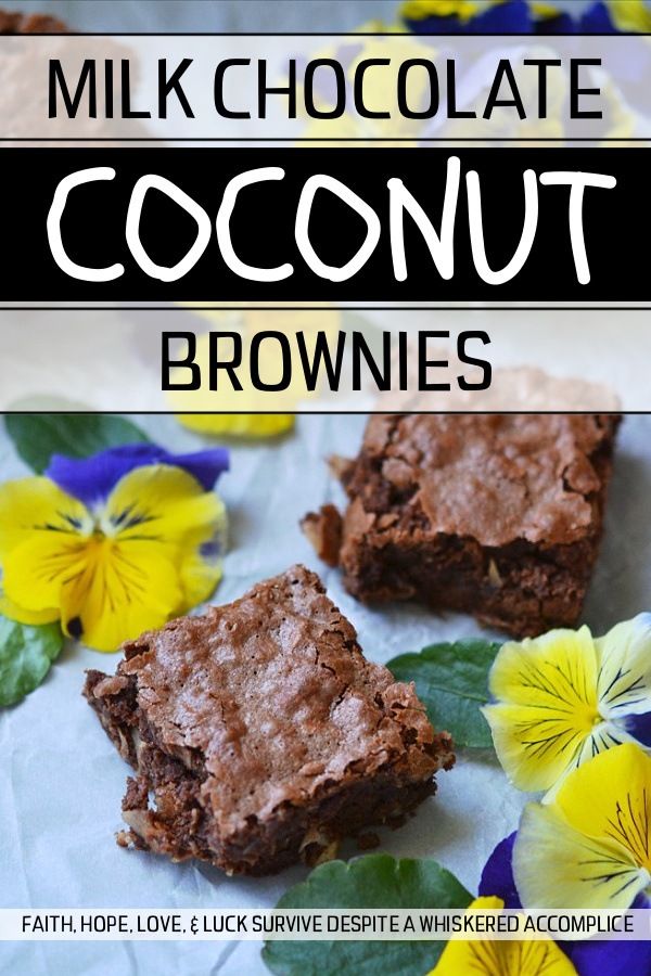 Milk Chocolate Coconut Brownies - Milk chocolate homemade brownies are a cinch to make and so much better than any chocolaty dessert treat that you can make out of a pre-packaged boxed mix. This from-scratch cakey dessert is even more special due to the addition of flaked coconut and coconut extract, which give these chocolate brownies an unmistakable tropical vibe.
