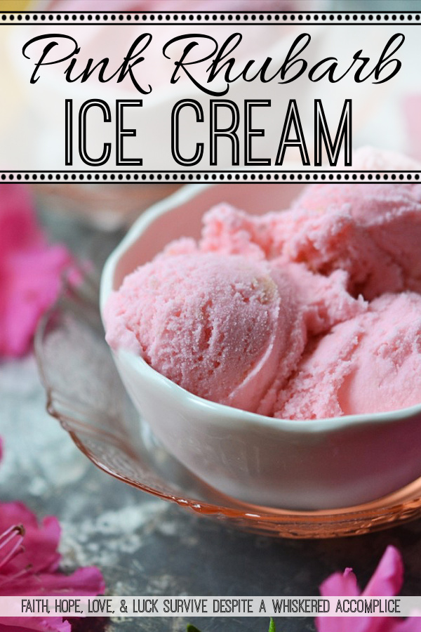 Pink Rhubarb Ice Cream - A little bit of rhubarb and pink food coloring can turn basic vanilla ice cream into something truly delicious. This sweet frozen treat is a great way to use home-grown or farmer's market rhubarb this spring.