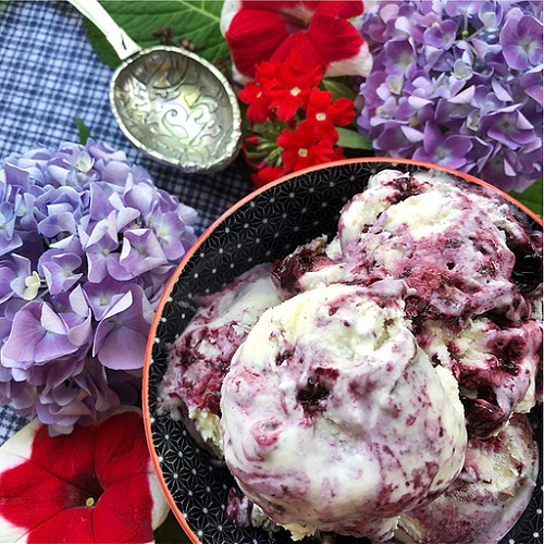 Red, White, & Blue Ricotta Ice Cream - 10 Must-Make Summer Ice Cream Recipes - There's no better time of year to enjoy a bowl of ice cream than during the hot summer months of June, July, and August. And when that ice cream's homemade, it's even more enjoyable. So, break out the ice cream machine and get ready to churn an unforgettably rich and creamy frozen dessert treat to help you survive the scorching summer heat.