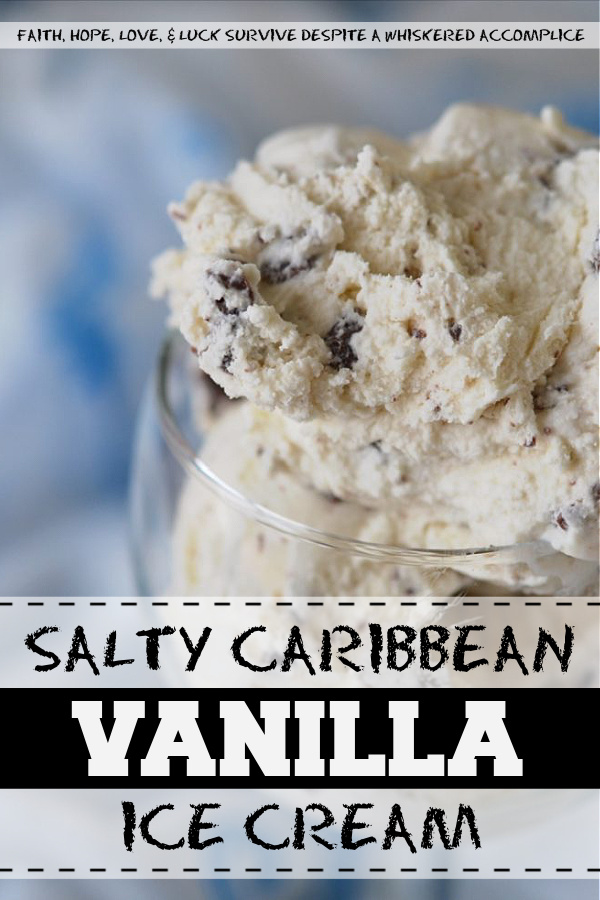 Salty Caribbean Vanilla Ice Cream - Looking to take your vanilla ice cream to the next level this summer? Try adding some salted chocolate and premium vanilla to create an island beach-worthy version that is sure to impress. The combination of sweet and salty flavors will have you oohing and ahhing over this sweet, salty, and chocolaty dessert. Why settle for plain vanilla when you can have a decadent, gourmet treat that's sure to impress?
