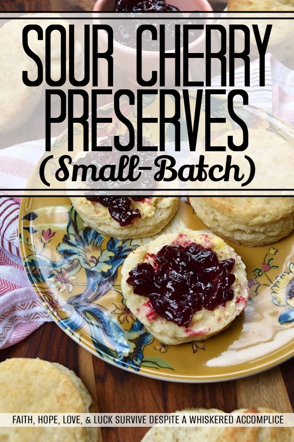 Sour Cherry Preserves (Small-Batch) - During the summer, sour cherries have such a short season, so it's important to enjoy them as much as possible while they are still available. These small-batch preserves are the perfect way to savor their amazing taste and incorporate them into your breakfast and dessert recipes. Whether you spread them on biscuits, or use them as a filling for crescent rolls or thumbprint cookies, these preserves are sure to impress.
