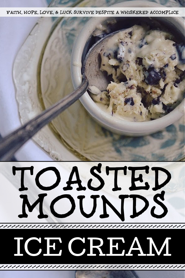 Toasted Mounds Ice Cream - Toasted Mounds ice cream is a coconut lover's dream come true. The sweet buttery toasted coconut flakes mixed with the dark chocolate chunks are truly an irresistible combination. And, while I can certainly understand why some people may not be a fan of coconut, for those who are, this ice cream is a must-try.
