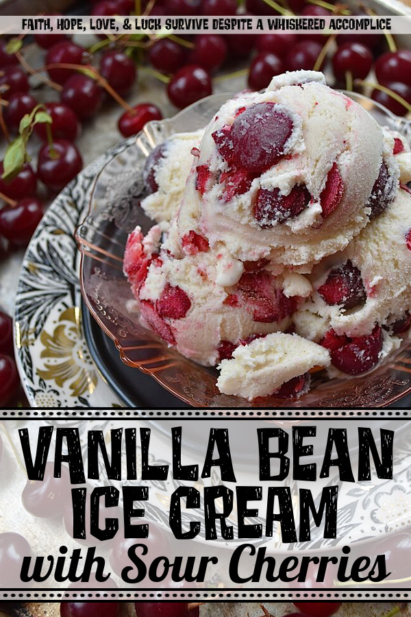 Vanilla Bean Ice Cream with Sour Cherries - Is there anything better than vanilla ice cream? Yes, this homemade vanilla ice cream with vanilla extract and vanilla bean seeds, practically overflowing with a generous amount of in-season sour cherries. This vanilla bean sour cherry ice cream is sweet, tart, and fruity, not to mention one of the best ways to enjoy sour cherries before they disappear for yet another year. So, grab your ice cream machine and get ready to churn up some sour cherry deliciousness.
