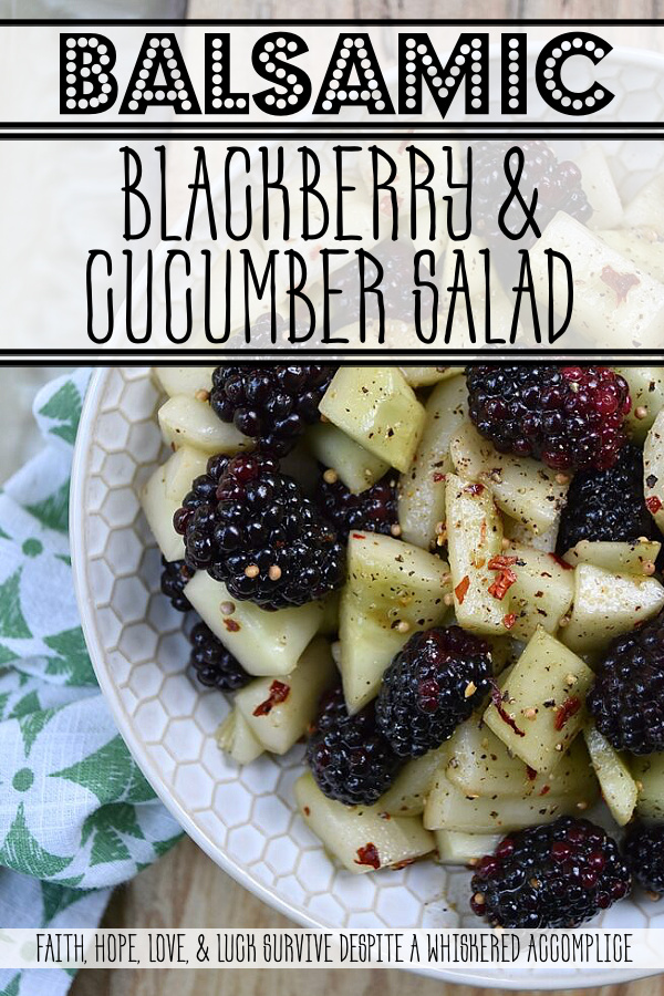 Balsamic Blackberry & Cucumber Salad - This light and refreshing cucumber salad with plump sweet blackberries in a flavorful balsamic vinaigrette is the perfect side dish for almost any meal, and its simplicity makes this salad an easy recipe to enjoy on days when you don't have a lot of time to spend in the kitchen. The crunchy cucumbers, juicy blackberries, and tangy dressing combine together to form an incredibly fresh flavor explosion.