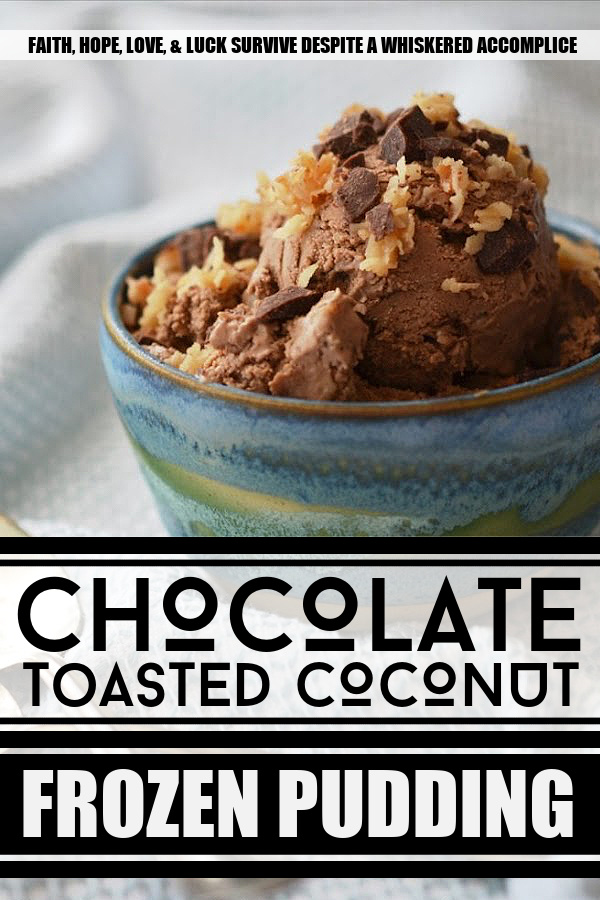 Chocolate Toasted Coconut Frozen Pudding - There's no better way to celebrate than with a big ol' bowl of frozen pudding. This rich and decadent frozen pudding is super chocolaty, packed with buttery toasted coconut, and loaded with lots of finely chopped chocolate. It's like a party in your mouth.
