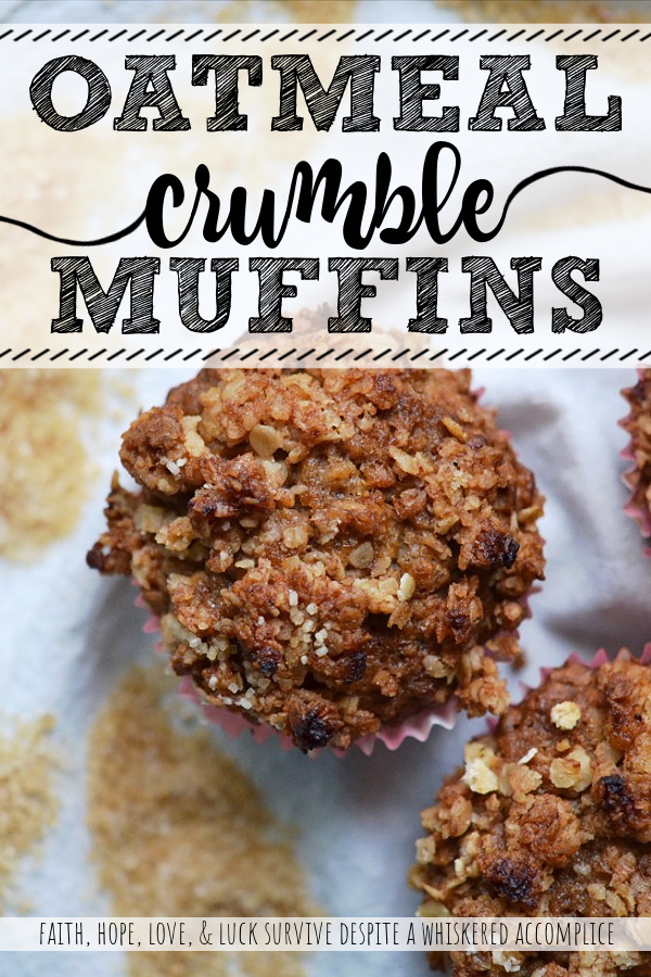 Oatmeal Crumble Muffins - If you're looking for the perfect muffin recipe, you've come to the right place. These muffins aren't fancy. They're not loaded with raisins, they're not studded with chocolate chips, and they definitely don't contain any nuts, seeds, or berries. These muffins are simple, yet delicious, with an oatmeal crumble topping to add a delightful and irresistible crunch to each and every bite.