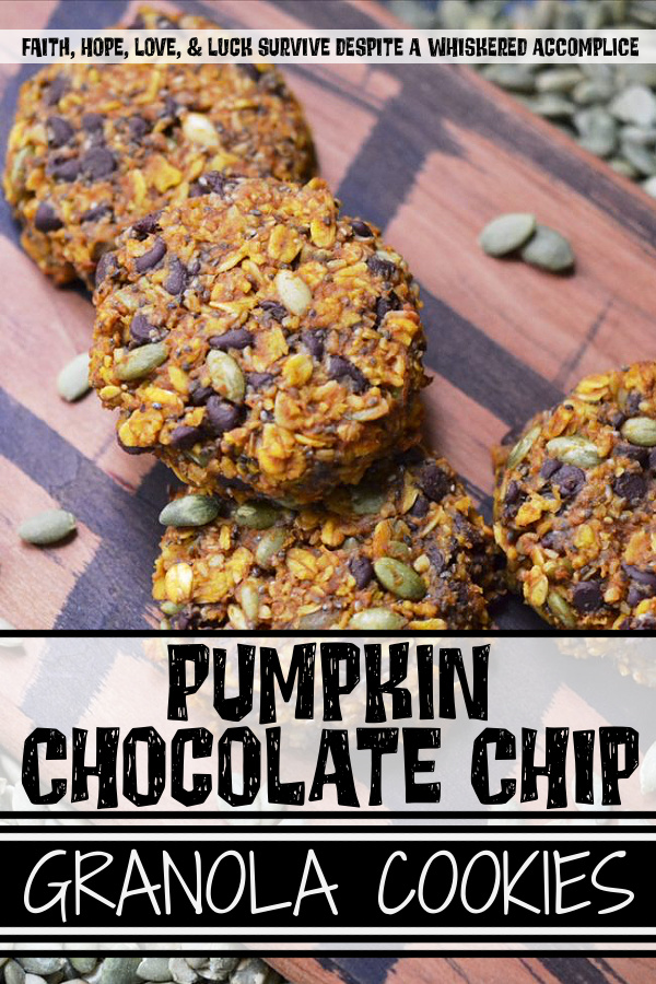 Pumpkin Chocolate Chip Granola Cookies - These pumpkin chocolate chip granola cookies are a delicious and healthy treat, packed with loads of flavor and texture. The oats, chia seeds, and pepitas provide a crunchy texture, while the pumpkin purée, peanut butter, honey, and cinnamon add just the right touch of sweet fall flavor. And once miniature chocolate chips are folded into the mix, these cookies will surely satisfy your sweet tooth, whether you enjoy them as a snack, an after-meal treat, or even as a breakfast companion to fresh fruit.
