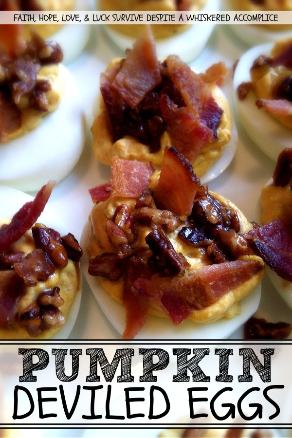 Pumpkin Deviled Eggs - If you're looking for a truly unique deviled egg recipe to impress your friends, this is the one. These deviled eggs are flavored with pumpkin puree, ground coriander, and traditional deviled egg seasonings. Then these eggs are topped with toasted sweet buttery pecans and crispy chopped bacon. Pumpkin deviled eggs may sound strange, however, they're about to change your entire world with their delicious flavor.