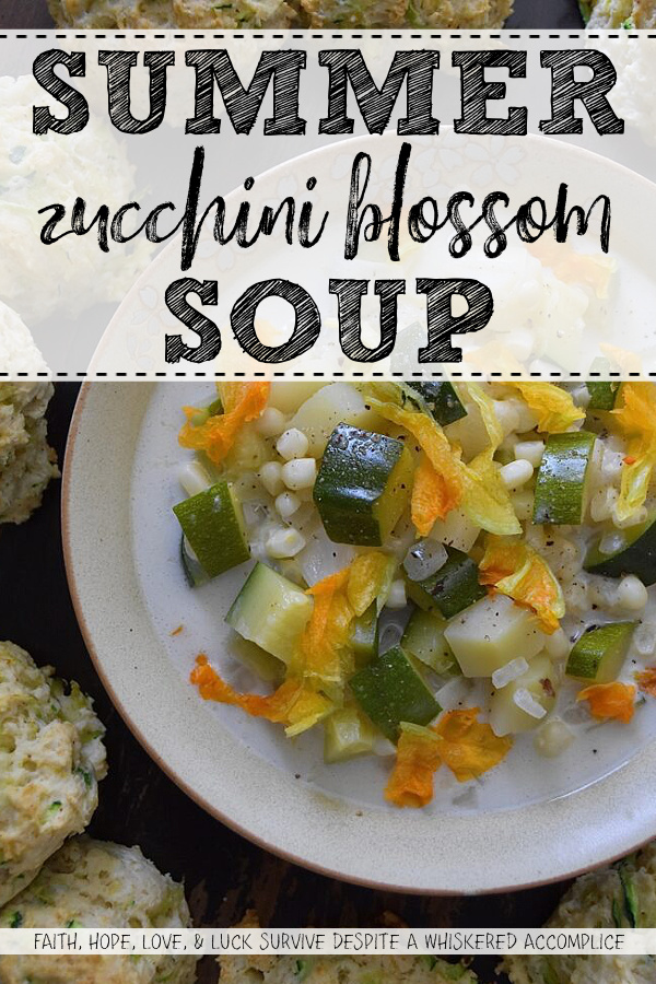 Summer Zucchini Blossom Soup - This super-simple fresh summer soup is the perfect way to take advantage of all the seasonal produce that summer has to offer. Made with zucchini, white corn, yellow onion, and potato, and then garnished with fresh zucchini blossoms, this summertime soup is as stunning as it is delicious. A touch of heavy whipping cream is also included to add a little bit of richness and flavor without making the soup too heavy. Don't be surprised if you find yourself making this summer vegetable soup over and over again.
