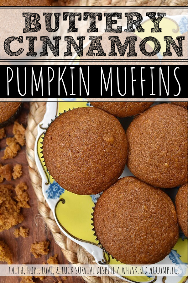 Buttery Cinnamon Pumpkin Muffins - Nothing says autumn like the smell of pumpkin muffins baking on a crisp fall day. Made with ground cinnamon, canned pumpkin, butter, and a healthy dose of vanilla, these muffins are sure to be a hit with everyone. They have a super-moist texture and a sweet, buttery flavor that's pretty hard to resist. Enjoy them with a cup of coffee or tea for breakfast, as a special occasion dessert treat, or even share them with friends as a way to welcome autumn.