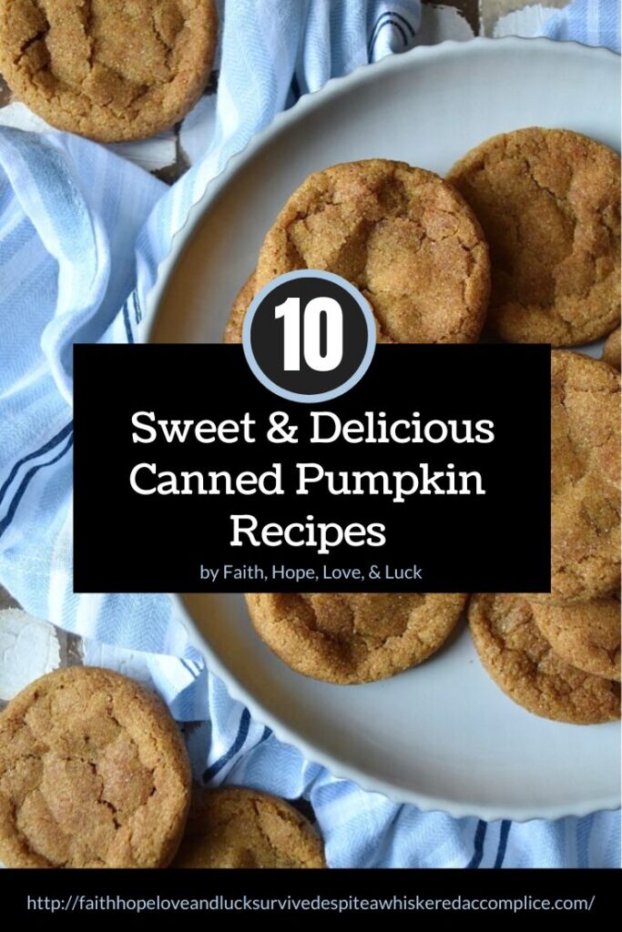 10 Sweet & Delicious Canned Pumpkin Recipes - Canned pumpkin is a quick and easy way to add flavor and moisture to your favorite baked goods and sweets. Not just for pies, pumpkin puree can be used to make all kinds of delicious treats, including fudge. From cookies and bread to whoopie pies and muffins, canned pumpkin purée is an easy way to add delicious fall flavor to your favorite recipes.