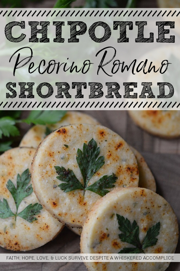 Chipotle Pecorino Romano Shortbread - This cheesy shortbread falls somewhere between a savory cookie and an overly thick cracker, with a satisfying crunch. The flaky texture with the added kick of chipotle will give your meal an instant extra boost of spicy flavor. Whether you're looking for an appetizer, a side, or just a tasty snack, this savory shortbread with chipotle and pecorino romano cheese is sure to hit the spot.