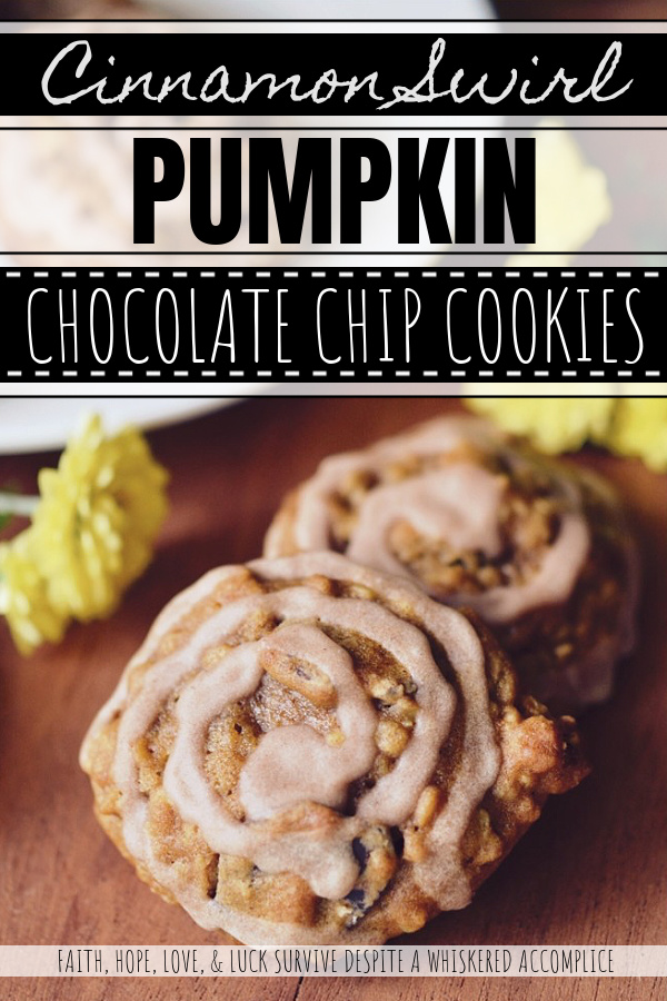 Cinnamon Swirl Pumpkin Chocolate Chip Cookies - These chocolate chip cookies are the perfect autumn treat. Loaded with canned pumpkin, quick-cooking oats, chocolate chips, ground cinnamon, and a touch of honey, these cookies are full of both flavor and texture. And, best of all, these moist pumpkin cookies are topped with a swirl of cinnamon sugar glaze, adding the perfect finishing touch. These sinfully delicious fall cookies are sure to become a go-to favorite.