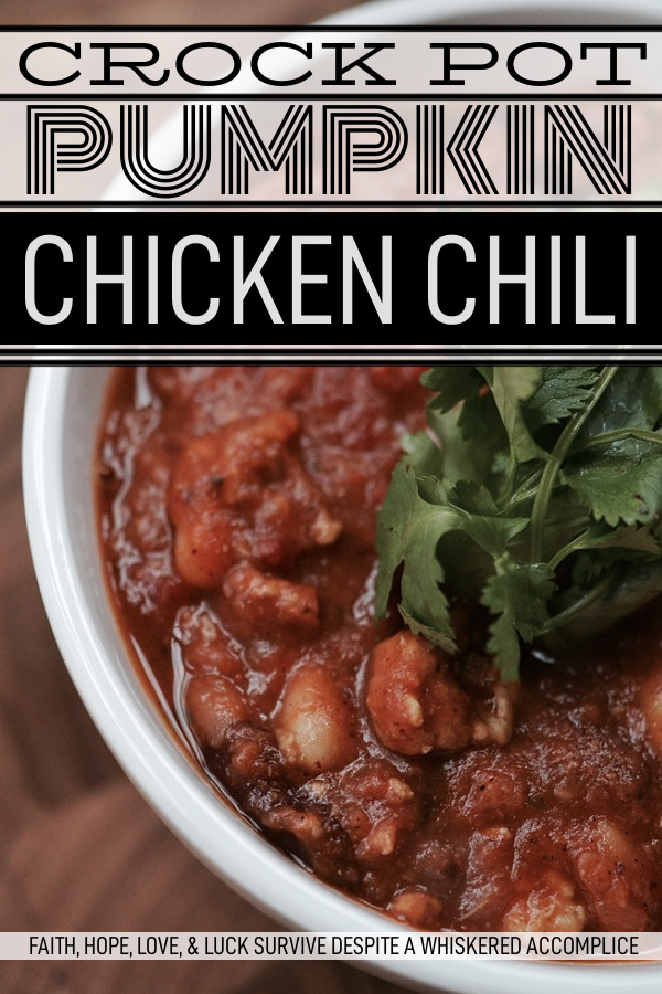 Crock Pot Pumpkin Chicken Chili - This autumn-inspired pumpkin chicken chili is hearty, full of flavor, and can be made ahead of time so you can enjoy it all week long or freeze some for later use. Ground chicken is browned with onions and garlic and then canned pumpkin, fire-roasted tomatoes, and beans are added along with traditional chili spices. Once the chili comes to a boil, transfer it to a crock pot and allow it to slowly cook for 8 hours on low heat. This allows the flavors to marry and deepen, creating a delicious large batch of chili that will have your family and friends asking for seconds.