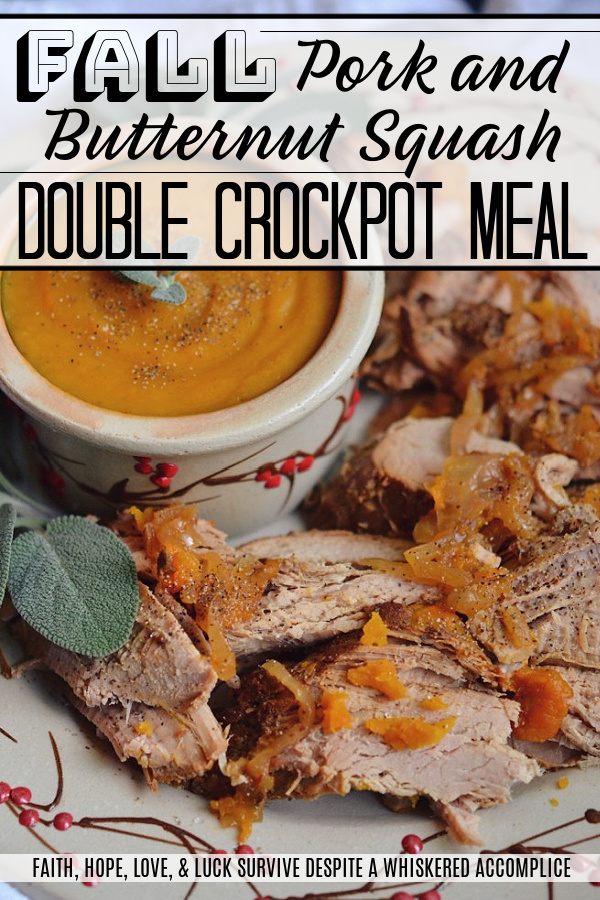 Fall Pork and Butternut Squash Double Crockpot Meal - This fall crockpot recipe is dual-purpose, in that you get two meals for your “effort” in the kitchen. A creamy butternut squash soup and tender shredded pork tenderloins that you can serve with mashed potatoes, rice, noodles, or even use to make sandwiches. You can even add a little bit of cream to some of the soup to make a flavorful gravy to drizzle the pork tenderloins with.