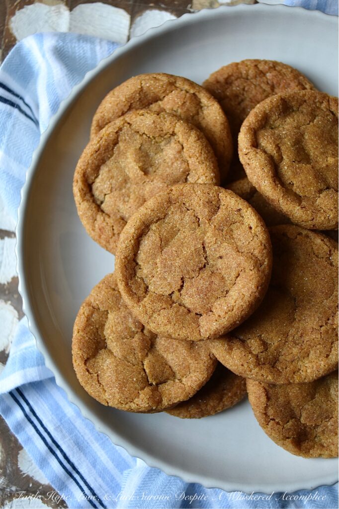 Cinnamon Pumpkin Snaps - Cinnamon Pumpkin Snaps are soft, chewy cookies with a crunchy cinnamon sugar coating sure to satisfy any sweet tooth. They're made with canned pumpkin and a generous amount of cinnamon, giving them a uniquely delicious flavor that's perfect for the season. These cookies are so tasty that you won't be able to resist the temptation to grab another. You might want to consider baking a double batch to make sure you have enough to go around.