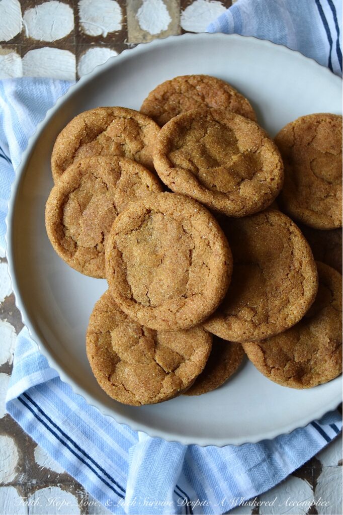 Cinnamon Pumpkin Snaps - Cinnamon Pumpkin Snaps are soft, chewy cookies with a crunchy cinnamon sugar coating sure to satisfy any sweet tooth. They're made with canned pumpkin and a generous amount of cinnamon, giving them a uniquely delicious flavor that's perfect for the season. These cookies are so tasty that you won't be able to resist the temptation to grab another. You might want to consider baking a double batch to make sure you have enough to go around.