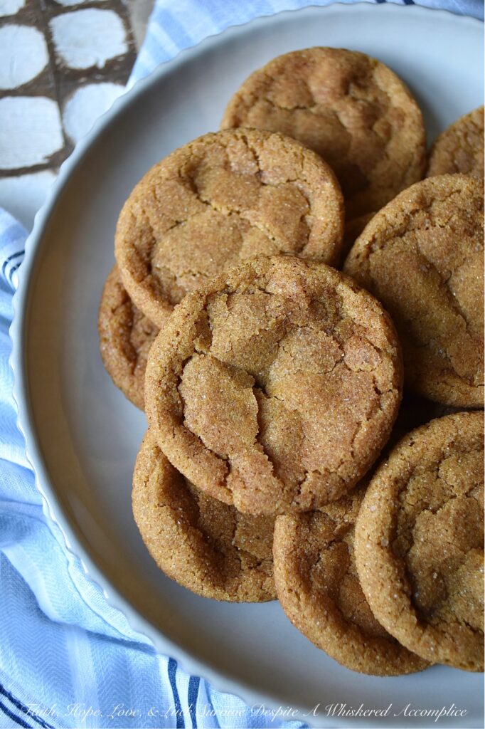 Cinnamon Pumpkin Snaps - Cinnamon Pumpkin Snaps are soft, chewy cookies with a crunchy cinnamon sugar coating sure to satisfy any sweet tooth. They're made with canned pumpkin and a generous amount of cinnamon, giving them a uniquely delicious flavor that's perfect for the season. These cookies are so tasty that you won't be able to resist the temptation to grab another. You might want to consider baking a double batch to make sure you have enough to go around.