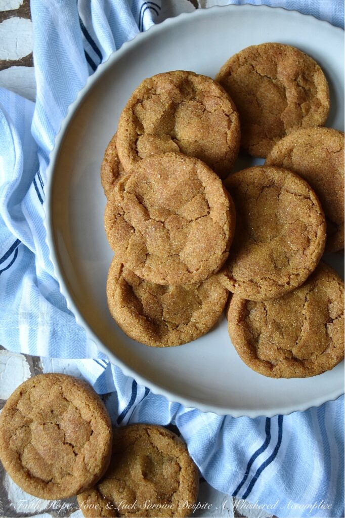Cinnamon Pumpkin Snaps - Cinnamon Pumpkin Snaps are soft, chewy cookies with a crunchy cinnamon sugar coating sure to satisfy any sweet tooth. They're made with canned pumpkin and a generous amount of cinnamon, giving them a uniquely delicious flavor that's perfect for the season. These cookies are so tasty that you won't be able to resist the temptation to grab another. You might want to consider baking a double batch to make sure you have enough to go around.