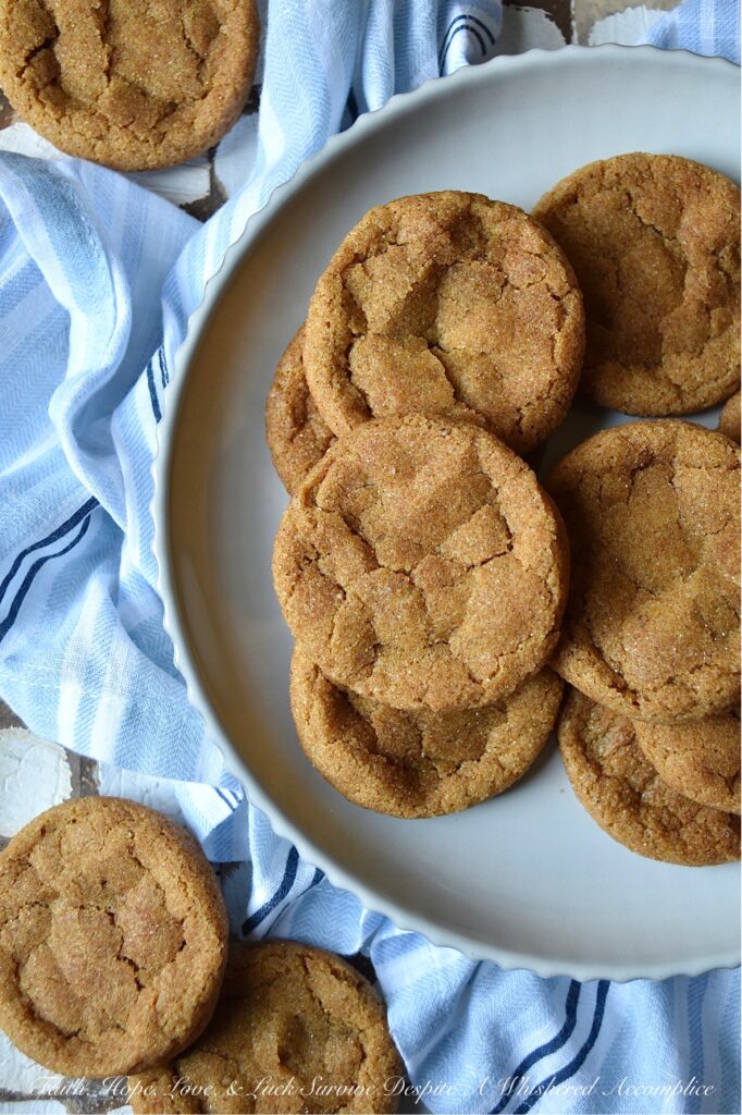 Cinnamon Pumpkin Snaps - Cinnamon Pumpkin Snaps are soft, chewy cookies with a crunchy cinnamon sugar coating sure to satisfy any sweet tooth. They're made with canned pumpkin and a generous amount of cinnamon, giving them a uniquely delicious flavor that's perfect for the season. These cookies are so tasty that you won't be able to resist the temptation to grab another. You might want to consider baking a double batch to make sure you have enough to go around.