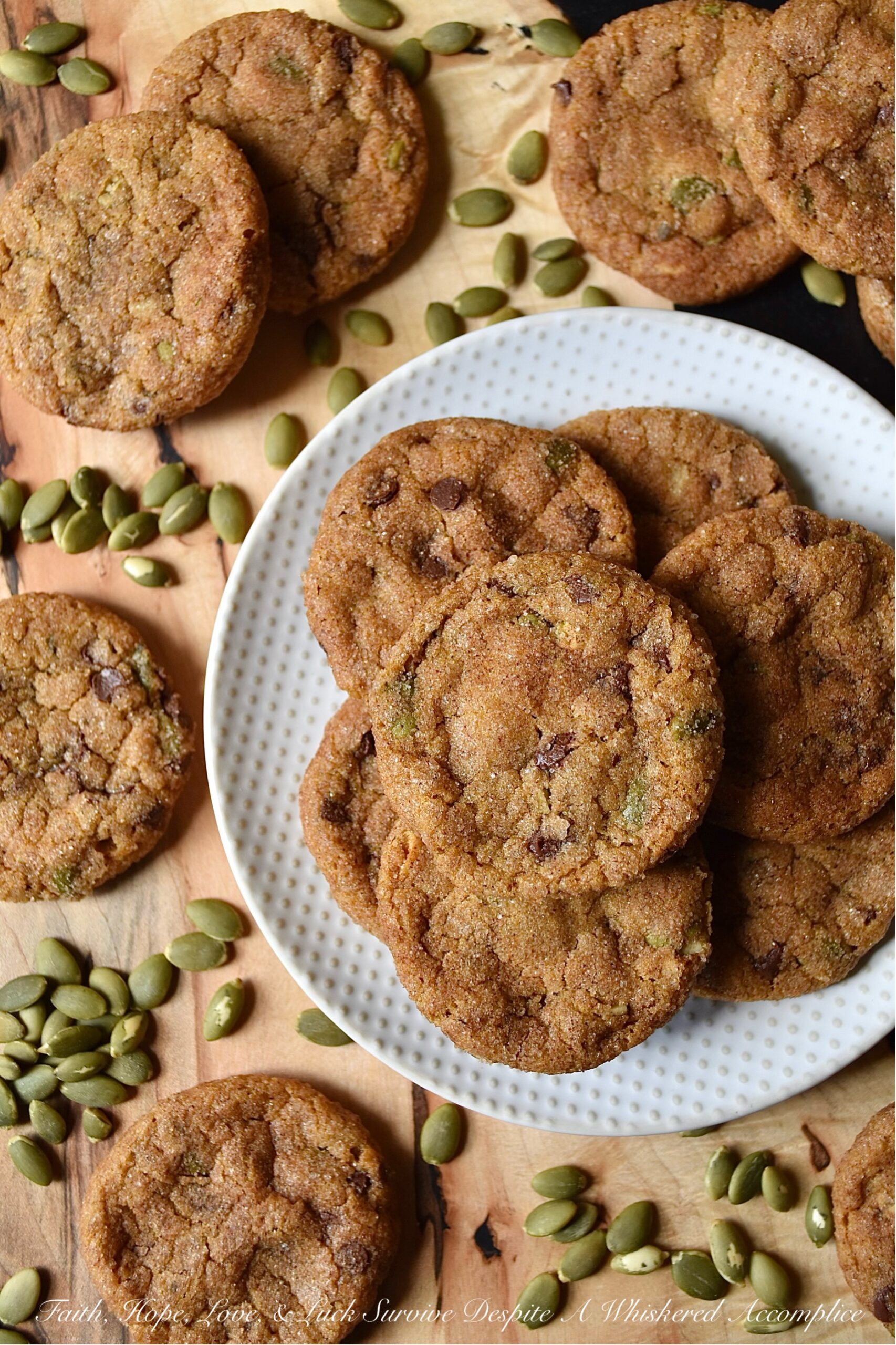 Cinnamon Sugar Pumpkin Chocolate Chip Cookies