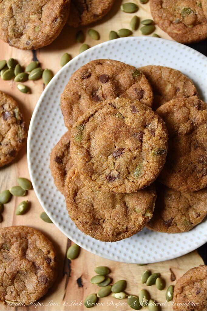 Cinnamon Sugar Pumpkin Crackle Cookies - When it comes to fall, there's nothing quite like a delicious warm batch of chocolate chip pumpkin cookies. These delightfully delicious cookies are filled with miniature chocolate chips and roasted salted pumpkin seeds or pepitas, and then covered in a delightful crunchy cinnamon sugar coating. The result is a seasonal crackle cookie that is soft and chewy on the inside, yet crispy and full of texture on the outside.