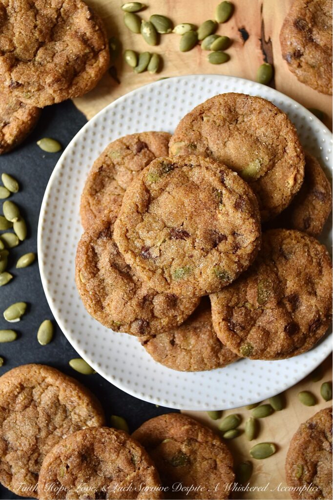 Cinnamon Sugar Pumpkin Crackle Cookies - When it comes to fall, there's nothing quite like a delicious warm batch of chocolate chip pumpkin cookies. These delightfully delicious cookies are filled with miniature chocolate chips and roasted salted pumpkin seeds or pepitas, and then covered in a delightful crunchy cinnamon sugar coating. The result is a seasonal crackle cookie that is soft and chewy on the inside, yet crispy and full of texture on the outside.