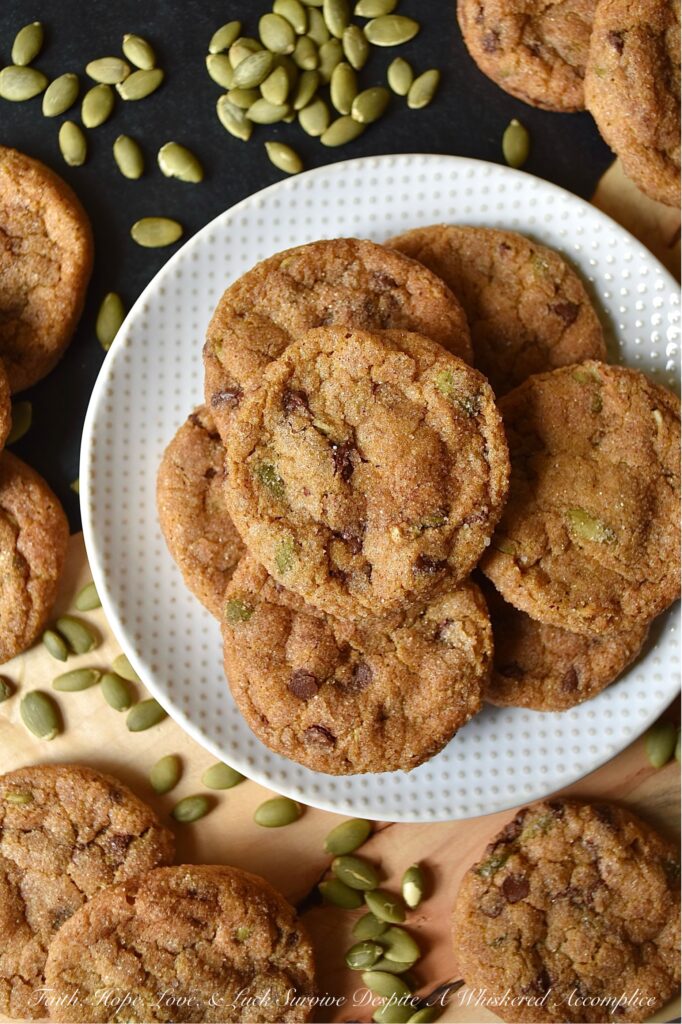 Cinnamon Sugar Pumpkin Crackle Cookies - When it comes to fall, there's nothing quite like a delicious warm batch of chocolate chip pumpkin cookies. These delightfully delicious cookies are filled with miniature chocolate chips and roasted salted pumpkin seeds or pepitas, and then covered in a delightful crunchy cinnamon sugar coating. The result is a seasonal crackle cookie that is soft and chewy on the inside, yet crispy and full of texture on the outside.