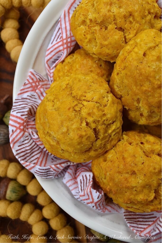 Savory Canned Pumpkin Drop Biscuits - If you're the kind of person who dreads baking any type of bread with yeast, drop biscuits are the ideal alternative. These particular drop biscuits are made with canned pumpkin, giving them a unique orange hue. Not only do they look stunning, but they're also buttery, savory, and truly delicious. Especially when eaten straight from the oven. They also make the perfect easy-to-make accompaniment to any holiday meal, since they require minimal effort. If you're looking for a delicious and effortless side dish, these drop biscuits are the way to go.