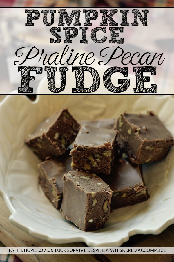 Pumpkin Spice Praline Pecan Fudge - This decadent homemade fall dessert combination of praline pecans, chocolate fudge, and pumpkin pie spice is sure to satisfy your sweet tooth with its rich, sweet, irresistible flavor. The praline pecans add a delightful crunch and the pumpkin pie spice adds a cozy warmth to the chocolate-flavored fudge. This is a delicious and indulgent pumpkin spice praline pecan fudge seasonal treat you won't want to miss out on this fall.