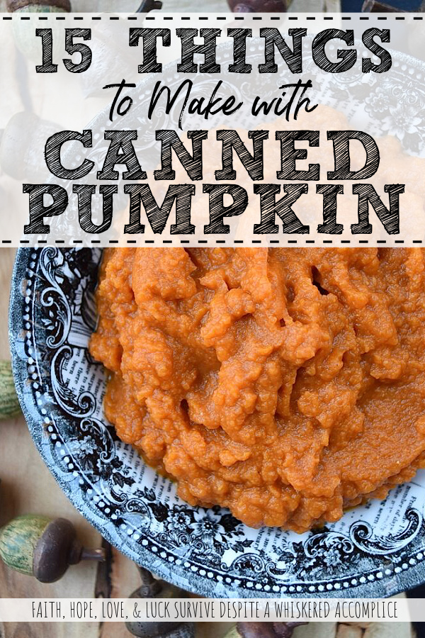 15 Things to Make with Canned Pumpkin - Fall is a great time to stock up on canned pumpkin purée. It's a versatile ingredient that can be used in a variety of recipes, from breads and soups to deviled eggs. If you're looking for some recipe inspiration, here are 15 ideas to get you started. And the best part is that canned pumpkin can be used all year round, so grab a few cans while they're on sale.