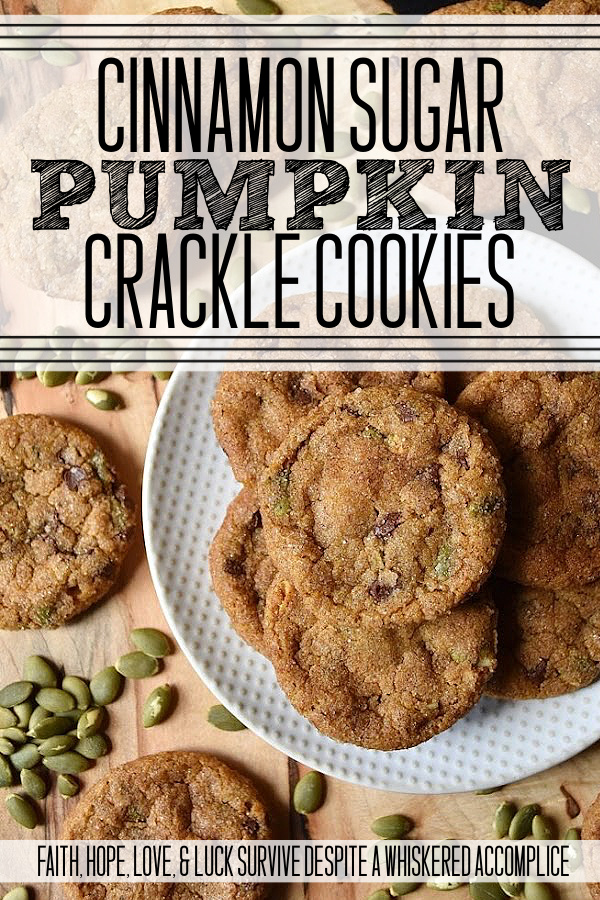 Cinnamon Sugar Pumpkin Crackle Cookies - When it comes to fall, there's nothing quite like a delicious warm batch of chocolate chip pumpkin cookies. These delightfully delicious cookies are filled with miniature chocolate chips and roasted salted pumpkin seeds or pepitas, and then covered in a delightful crunchy cinnamon sugar coating. The result is a seasonal crackle cookie that is soft and chewy on the inside, yet crispy and full of texture on the outside.