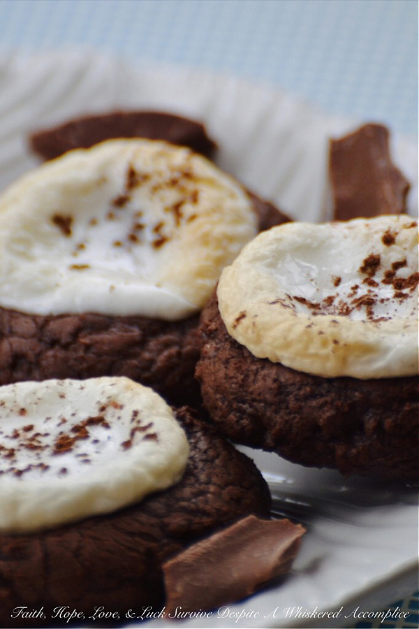 Hot Chocolate Brownie Cookies - When it comes to winter treats, it can be hard to choose between hot chocolate, brownies, and cookies. But why choose when you can have all three in one cookie? These delicious cookies have a lovely brownie texture, are bursting with chocolaty goodness, and are topped with melted marshmallows just like the best hot chocolate. They're the perfect cookie to celebrate a snow day with.