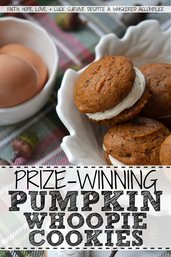 Prize-Winning Pumpkin Whoopie Cookies - These prize-winning whoopie cookies will totally blow your socks off. They're made using pumpkin and chocolate, which is the perfect autumn flavor combination. And, with a cream cheese filling sandwiched in between two of the pumpkin and chocolate-flavored cookies, this is a fall treat you'll simply find hard to resist.