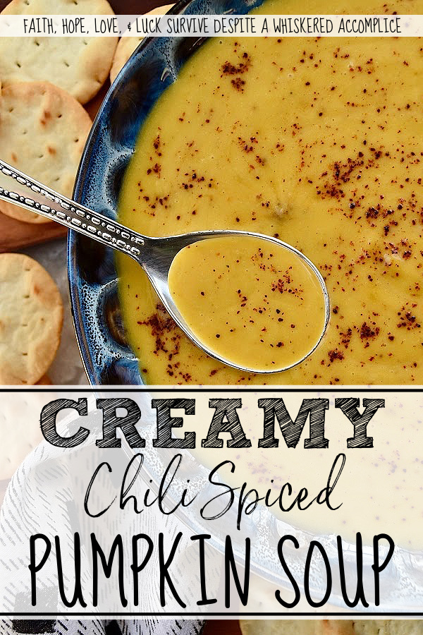 Creamy Chili Spiced Pumpkin Soup - This creamy and delicious pumpkin soup can be made with either fresh or canned pumpkin, making it a year-round recipe. To give this soup a mildly spiced chili flavoring, traditional chili ingredients such as chili powder, onion powder, ground cumin, and oregano are added. The lager beer and brown sugar also help to add a little bit of sweetness, which balances out this mildly spiced soup and complements the creaminess added to the soup by the heavy whipping cream. The flavors in this pumpkin soup are warm and comforting, making it a go-to recipe no matter the time of year.