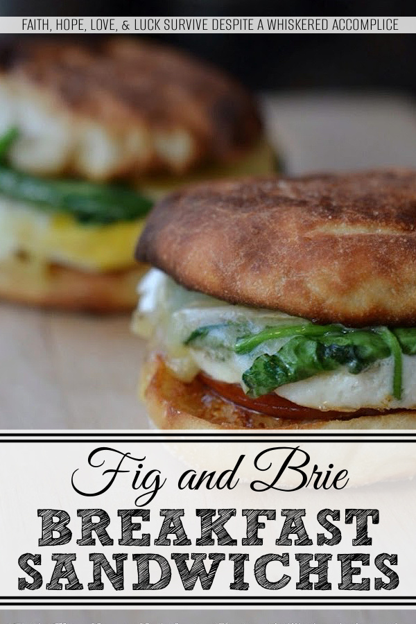 Fig and Brie Breakfast Sandwiches - This is no ordinary bacon, egg, and cheese sandwich recipe, these sandwiches take things to a whole new level. It all starts with perfectly toasted English muffins, slathered with a generous amount of fig jam or preserves. Next comes Canadian bacon, perfectly fried eggs, a handful of fresh spinach leaves, and a generous amount of melted brie cheese. This is the type of sandwich you won't mind waking up early for.