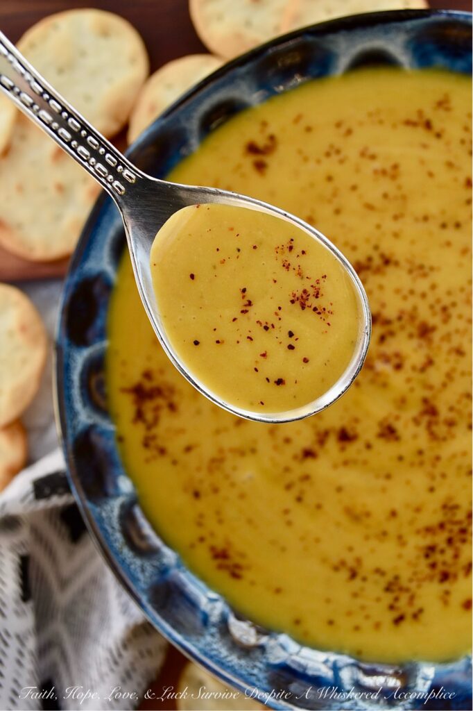 Creamy Chili Spiced Pumpkin Soup - This creamy and delicious pumpkin soup can be made with either fresh or canned pumpkin, making it a year-round recipe. To give this soup a mildly spiced chili flavoring, traditional chili ingredients such as chili powder, onion powder, ground cumin, and oregano are added. The lager beer and brown sugar also help to add a little bit of sweetness, which balances out this mildly spiced soup and complements the creaminess added to the soup by the heavy whipping cream. The flavors in this pumpkin soup are warm and comforting, making it a go-to recipe no matter the time of year.