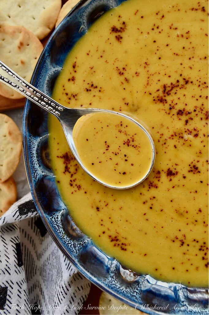 Creamy Chili Spiced Pumpkin Soup - This creamy and delicious pumpkin soup can be made with either fresh or canned pumpkin, making it a year-round recipe. To give this soup a mildly spiced chili flavoring, traditional chili ingredients such as chili powder, onion powder, ground cumin, and oregano are added. The lager beer and brown sugar also help to add a little bit of sweetness, which balances out this mildly spiced soup and complements the creaminess added to the soup by the heavy whipping cream. The flavors in this pumpkin soup are warm and comforting, making it a go-to recipe no matter the time of year.