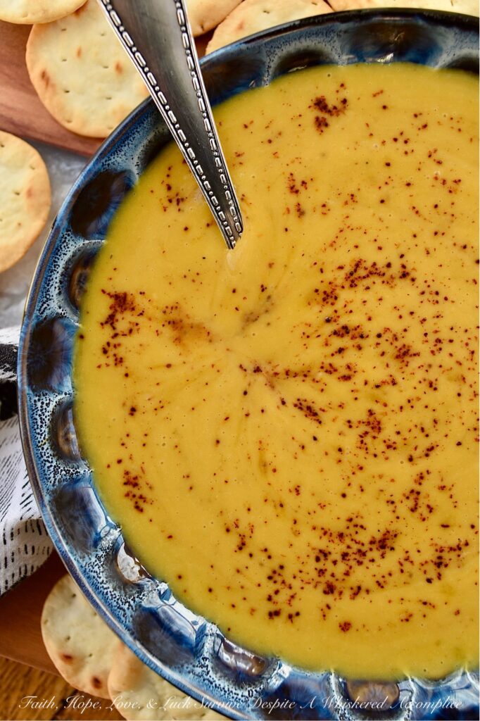 Creamy Chili Spiced Pumpkin Soup - This creamy and delicious pumpkin soup can be made with either fresh or canned pumpkin, making it a year-round recipe. To give this soup a mildly spiced chili flavoring, traditional chili ingredients such as chili powder, onion powder, ground cumin, and oregano are added. The lager beer and brown sugar also help to add a little bit of sweetness, which balances out this mildly spiced soup and complements the creaminess added to the soup by the heavy whipping cream. The flavors in this pumpkin soup are warm and comforting, making it a go-to recipe no matter the time of year.