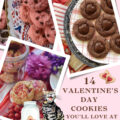 14 Valentine's Day Cookies You'll Love at First Bite - Whether you're looking for a rich and decadent chocolate treat, a buttery shortbread cookie, or something with a hint of fruity sweetness, we've got you covered with our list of "14 Valentine's Day Cookies You'll Love at First Bite." From classic favorites to unique and easy-to-make recipes, there's something for everyone to enjoy. So grab your apron and get ready to whip up some love-filled treats that will have your Valentine falling head over heels at first bite.