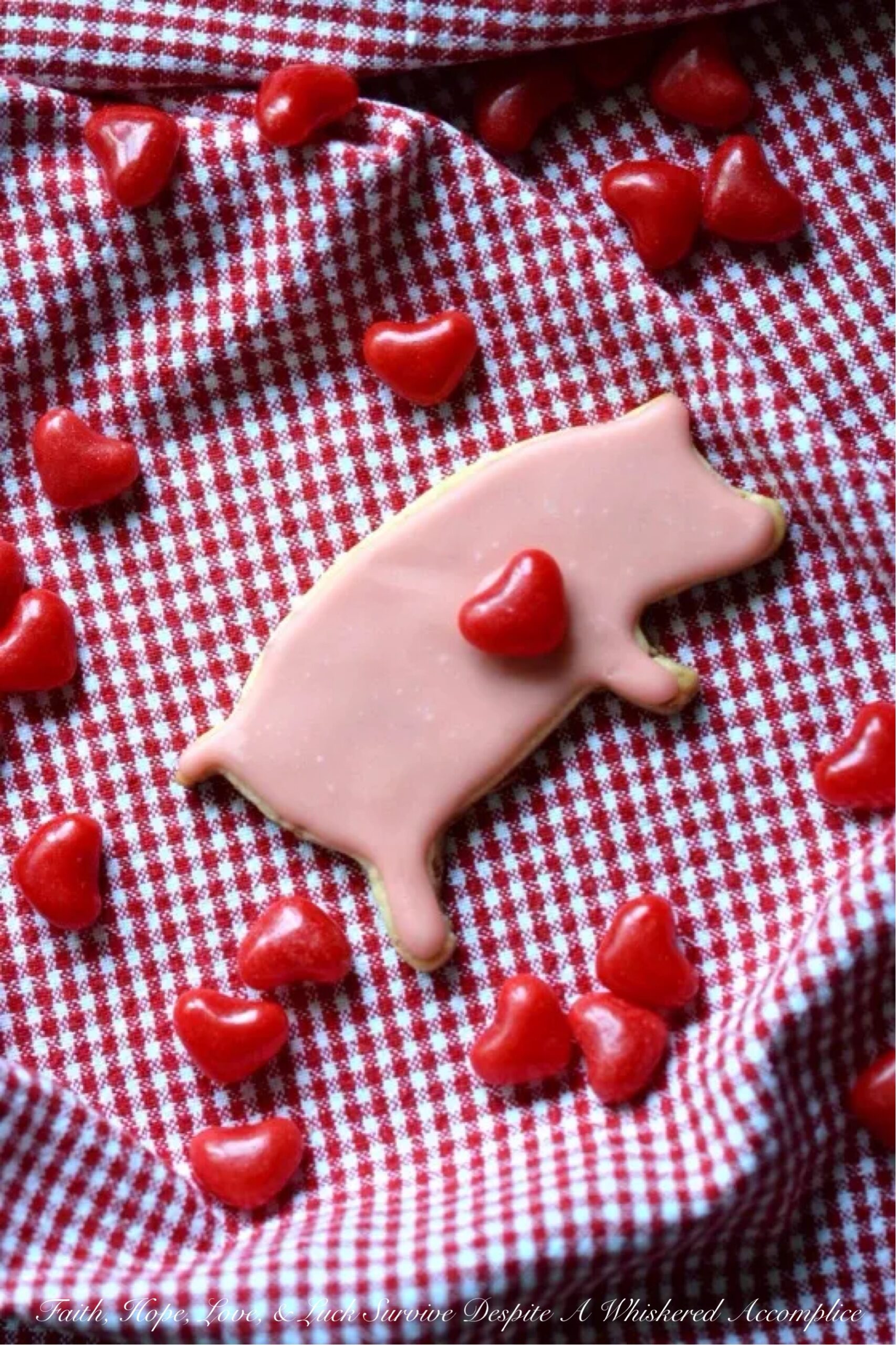 Bacon Maple Sugar Cookie Pigs of Love