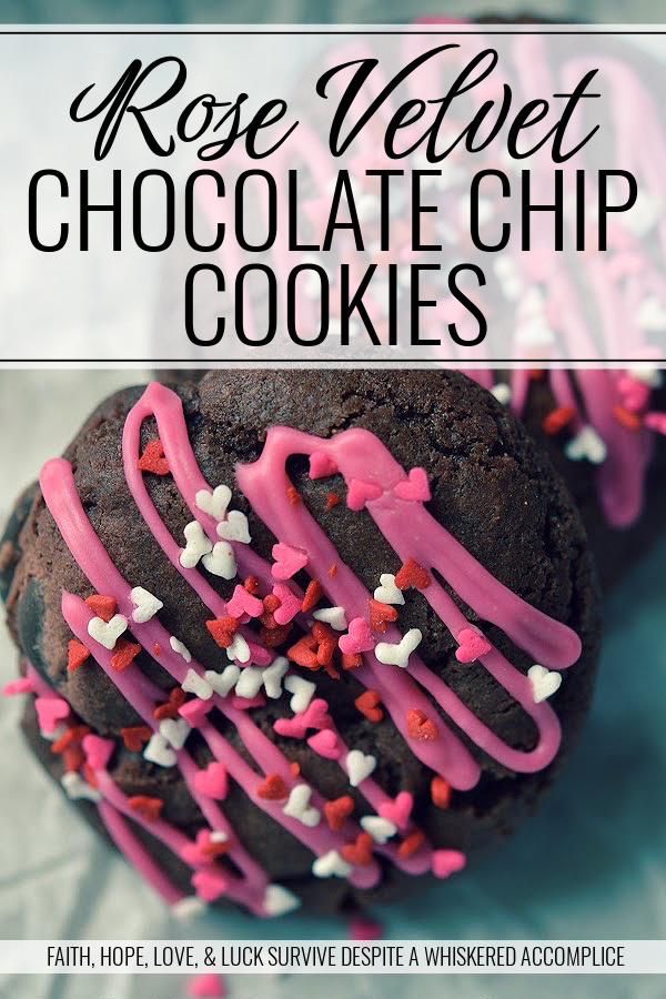 Rose Velvet Chocolate Chip Cookies - Instead of red velvet cookies, these Valentine's Day chocolate chip cookies are rose velvet cookies. They're made using rose icing color, unsweetened cocoa powder, and a generous amount of bittersweet chocolate chips. After being drizzled with rose-colored icing and sprinkled with lots of tiny candy heart sprinkles, these lovely sweet cookies are ready to be given to your special Valentine.