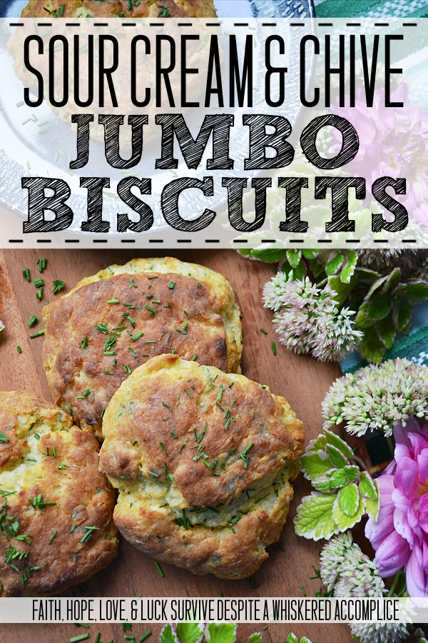 Sour Cream & Chive Jumbo Biscuits - These jumbo biscuits are light, fluffy, and perfectly crunchy on the outside. And thanks to the sour cream and freshly chopped chives added to the biscuit dough, they taste just as good as they look.