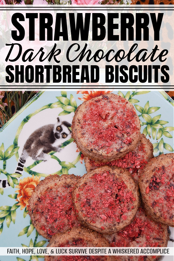 Strawberry Dark Chocolate Shortbread Biscuits - English shortbread biscuits are wonderful on their own, with their buttery flavor and crumbly texture, however, when you add freeze-dried strawberries and dark chocolate into the dough, they become even more amazing. Whether you choose to bake these cookies for Valentine's Day or on any other day of the year, their lovely strawberry and chocolate flavor is sure to win over hearts.