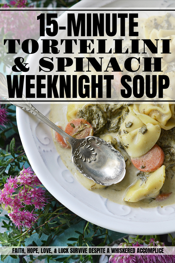 15-Minute Tortellini & Spinach Weeknight Soup - With just a few simple ingredients, including your favorite store-bought refrigerated cheese tortellini, you can have a satisfying and nutritious dinner on the table in as little as 15 minutes. Say goodbye to boring pasta meals and hello to a new favorite easy-to-make quick and delicious weeknight soup.