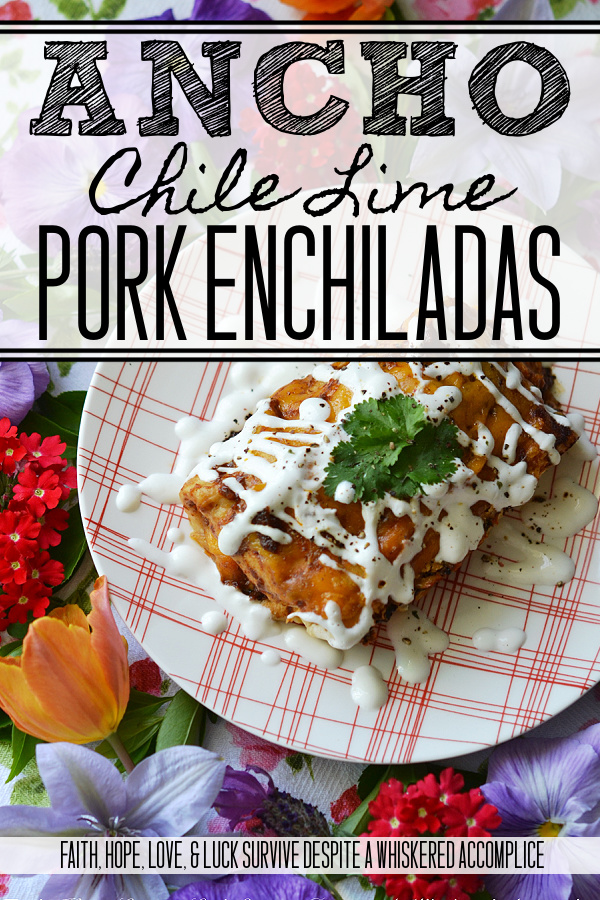 Ancho Chile Lime Pork Enchiladas | Dried ancho chile peppers and fresh lime juice make these flavorful pork enchiladas truly something special without burning off all of your taste buds. These cheddar cheese-covered enchiladas are sweet, tart, smoky, and packed with flavor. They're perfect for people who aren't crazy about spice but still want to enjoy some delicious Mexican food.