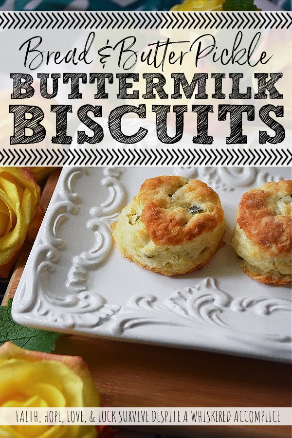 Bread & Butter Pickle Buttermilk Biscuits - Not only do bread & butter pickles add flavor to traditional buttermilk biscuits, but they also add moisture, making these little biscuits fluffy, flavorful, and tenderly moist. Whether you eat them on their own or use them for bread to make a sandwich, I guarantee you'll enjoy their delicate deliciousness.